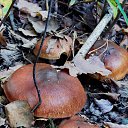 ���� �����, �����, 64 ���� - ��������� 6 ��� 2014 � ������ ������������ ������