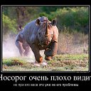 ���� ������, ������, 65 ��� - ��������� 11 ��� 2014 � ������ ������ ��������