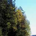 ���� �����, �����, 64 ���� - ��������� 4 ��� 2014 � ������ ������ � �����!�