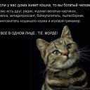 ���� �����, ��������, 50 ��� - ��������� 14 ���� 2014 � ������ ���� ����������
