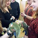 ���� ������, ������, 51 ��� - ��������� 24 ������ 2014 � ������ �����������-7�