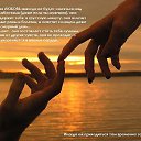 ���� ������, �������� - ��������� 15 ��� 2014 � ������ ���� ����������