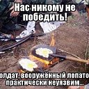  , , 49  -  17  2014   ....