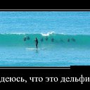 ���� Igor, ��������� - ��������� 7 ���� 2014 � ������ ������ ��������