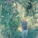 ���� ��������, ��������������, 49 ��� - ��������� 19 ������� 2014 � ������ ���� ����������