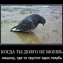 ���� ������, ������, 38 ��� - ��������� 21 ���� 2014 � ������ ������ ��������