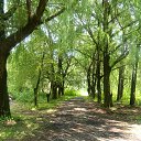 ���� Kosta, �������, 48 ��� - ��������� 9 ������� 2014 � ������ ���� ����������