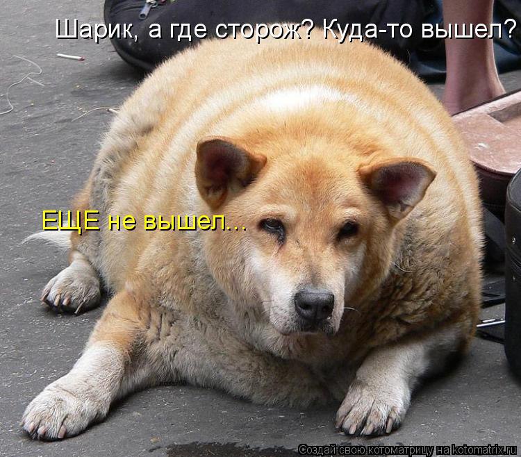   :3 - 8  2014  17:28