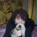 ���� ��������, ����������� - ��������� 13 ���� 2014 � ������ ���� ����������