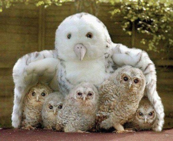 ��� ������, ��� ��� �� ����...