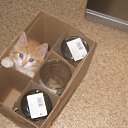     ,  -  15  2014     !