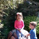 ���� �����, �����-���������, 38 ��� - ��������� 1 ���� 2014 � ������ ������ ��������