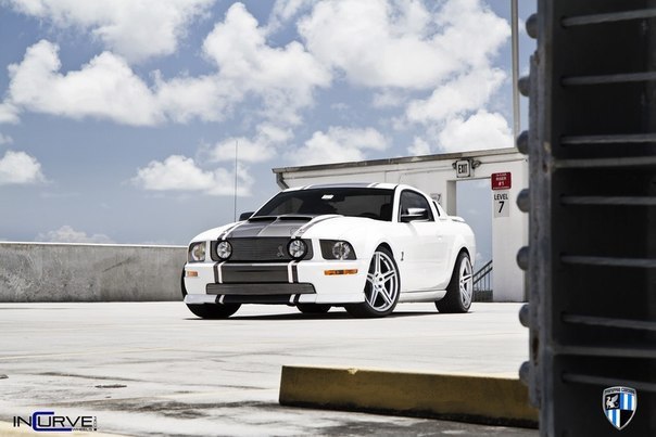 Ford Mustang Shelby Cobra GT500 - 3