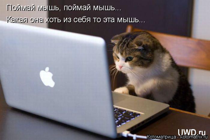 /zev/null - 27  2014  11:55