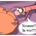 ���� �, ���� - ��������� 15 ���� 2014 � ������ ������ ��������