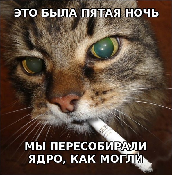 /zev/null - 10  2014  13:18