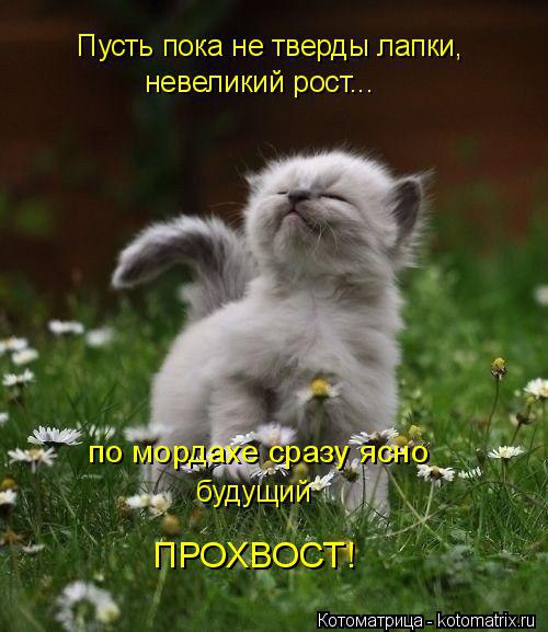 Alex Linadherent - 17  2014  09:13