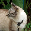  ,  -  11  2014     --.