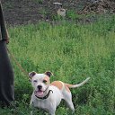  Antonina (Tonehka), , 39  -  3  2014    