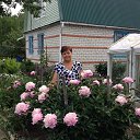 ���� ��������, ������ ��������, 68 ��� - ��������� 11 ���� 2014 � ������ ���� ����������