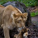 ���� Svetlana, ������ - ��������� 8 ������� 2014 � ������ ���� ����������