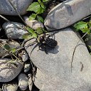 ���� �������, ���, 67 ��� - ��������� 6 ������� 2014 � ������ ������ 2014�