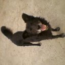 ���� ���������, �����, 85 ��� - ��������� 19 ������� 2014 � ������ ���� ����������