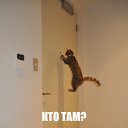 ���� ������, ���������, 63 ���� - ��������� 6 ������ 2014 � ������ ���� ����������