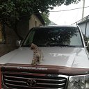 ���� ��������, ������ - ��������� 4 ���� 2014 � ������ ������
