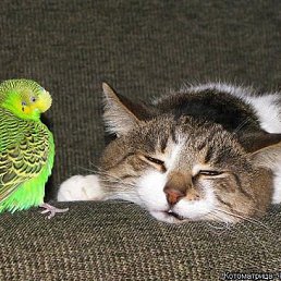 ���� **����**, ������ - ��������� 24 ��� 2014