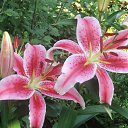 ���� �������, �����-��������� - ��������� 9 ������� 2014 � ������ ���� ����������