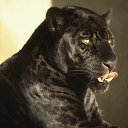  $  $, , 56  -  4  2014    