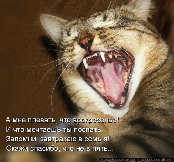   :3 - 1  2014  13:08