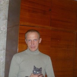 , 46 , 