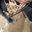 ���� Iogann, ������ - ��������� 6 ���� 2014 � ������ ������