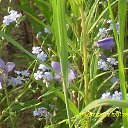 ���� ������, ����������, 66 ��� - ��������� 18 ������� 2014 � ������ ������ ��������