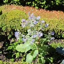 ���� �����, ������ �������� - ��������� 28 ���� 2014 � ������ �2014 ��