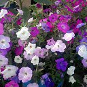 ���� Vlad, ������ - ��������� 11 ������� 2014 � ������ ��������