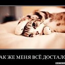 ���� �������, ����� - ��������� 20 ��� 2014 � ������ ������ ��������