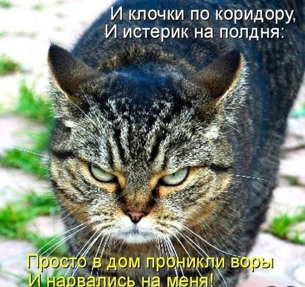  - 2  2014  23:43