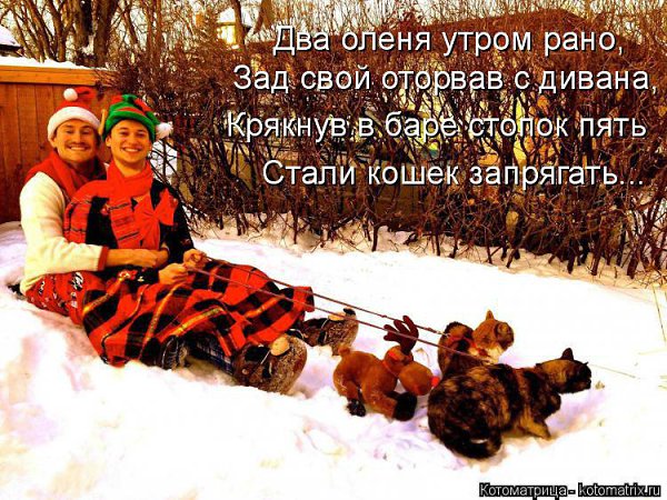 Marina - 9 ������� 2014 � 07:27
