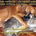 ���� ����, �����, 62 ���� - ��������� 14 ���� 2014 � ������ ������ ��������