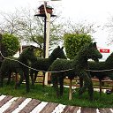  Necip, , 44  -  16  2014    2014