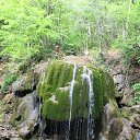 ���� ��c��, ��������, 46 ��� - ��������� 20 ��� 2014 � ������ �������, ���� 2014�