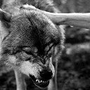 ���� Leonid, �����-���������, 39 ��� - ��������� 5 ���� 2014 � ������ ������ ��������