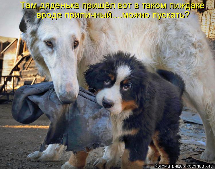 Alex Linadherent - 17  2014  09:20