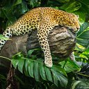 ���� Svetlana, ������ - ��������� 8 ������� 2014 � ������ ���� ����������