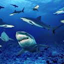 ���� �������, ���������, 61 ��� - ��������� 29 ����� 2014 � ������ ���� ����������