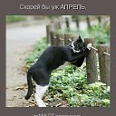  , , 71  -  12  2014     .