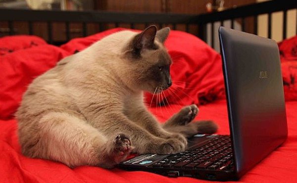 �� ���� ����� �������� !!! ������ ����� ���, ������� ������� �����... ����� ��� � ������ ������... ...